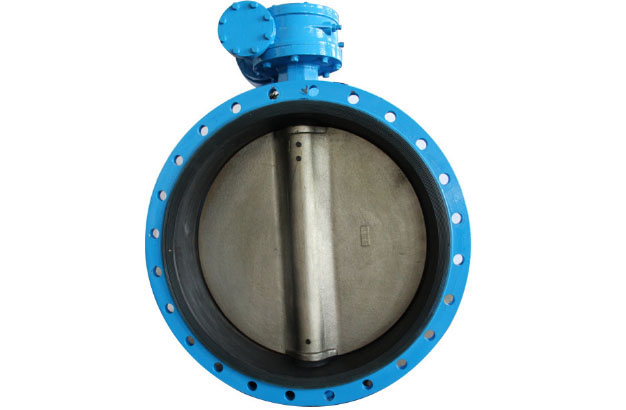 Double Flange Butterfly Valve